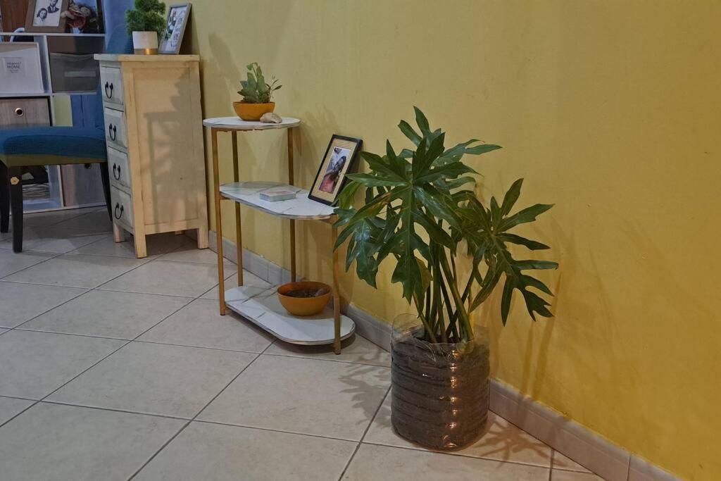 Mendes Family Homestay - B&B In The Heart Of ปรายา ภายนอก รูปภาพ